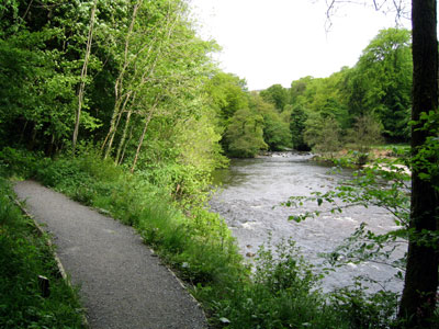 Path through Strid Wood