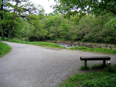 Path heads back alongside the River Wharfe