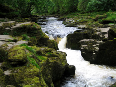 The Strid