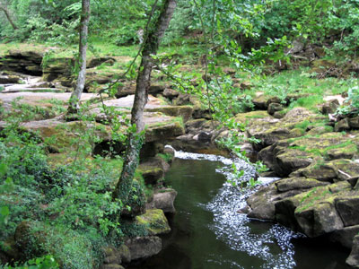 The Strid