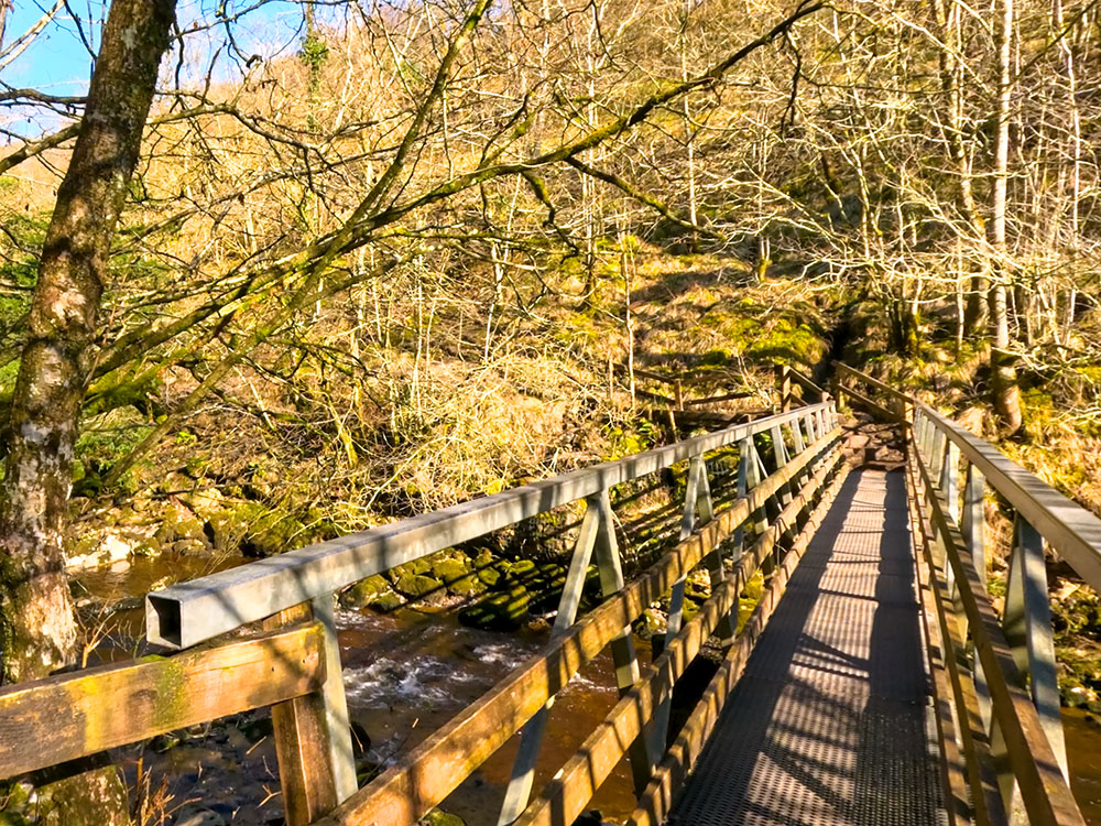 Footbridge over the river Twiss