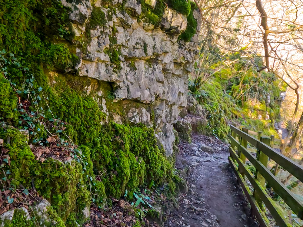 Footpath heading through Swilla Glen