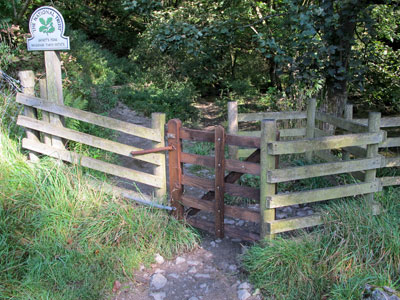 Entering Janet's Foss